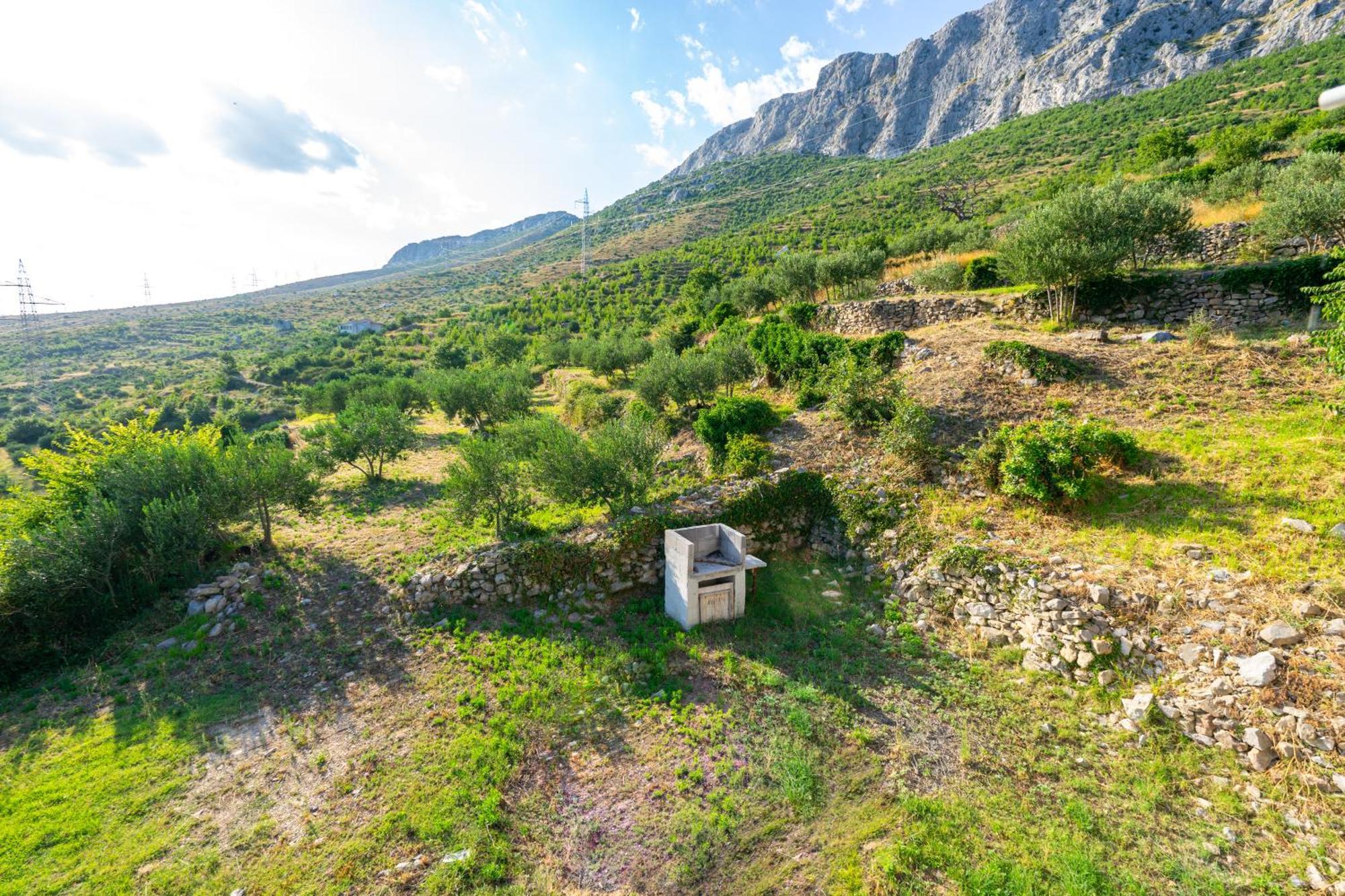 Olive Garden House In Zrnovnica With A View & Bbq Villa Exterior foto